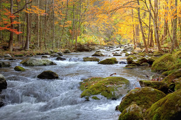 Rushing Stream