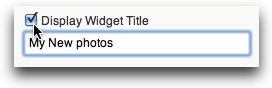 Widget title entry